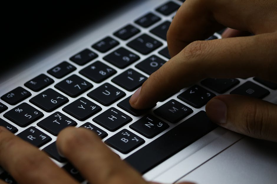 Exploring the World of Online Toto: Trends and Insights